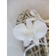 Porte Alliances Orchidées blanches